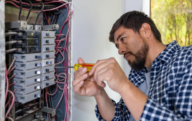 Best Electric Panel Repair  in Stockbridge, GA